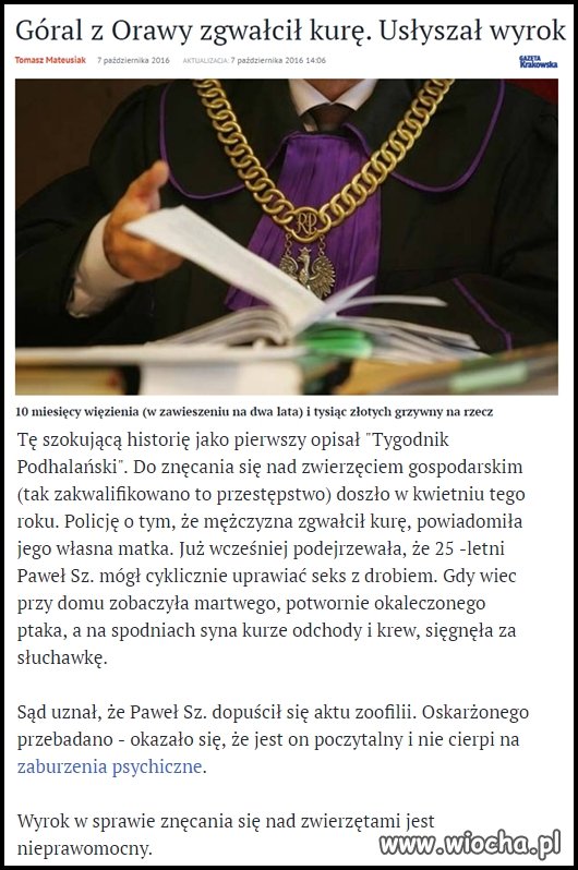 Jak góral to wyborca pisu