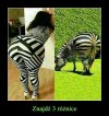 Znalazłeś? ... Nie?