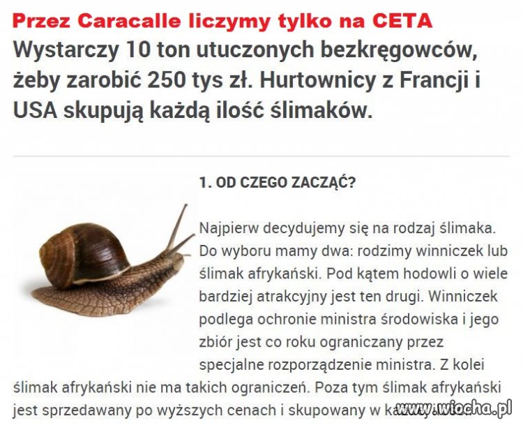 Nie może być?