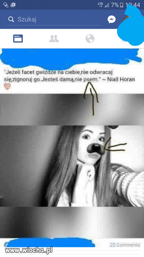 Czy to suka 