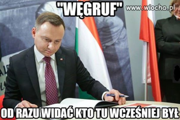"Chodź Szogunie".