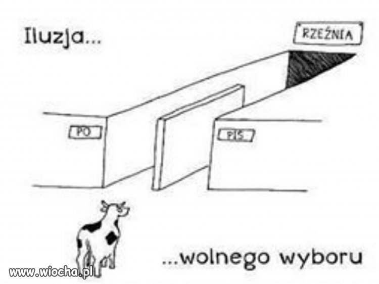 Ale Ty nadal twierdzisz że ustrój w Polsce