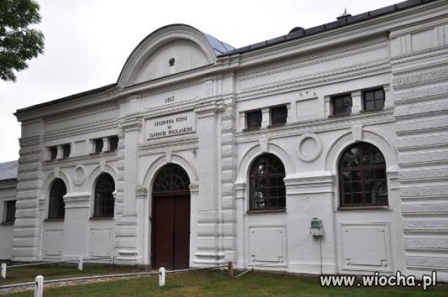 Dewiant w stadninie w Janowie Podlaskim. 