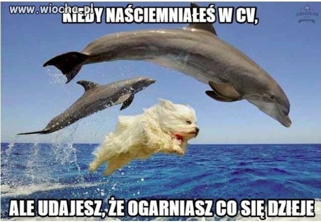 Tak widzę rekrutację przez CV...