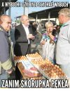 Sam nie wiem do jakiej kategorii"go"zaliczyć