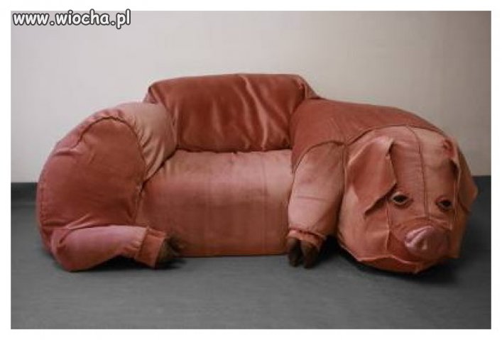 Idealna sofa dla polityka