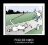 Jak większość z nas