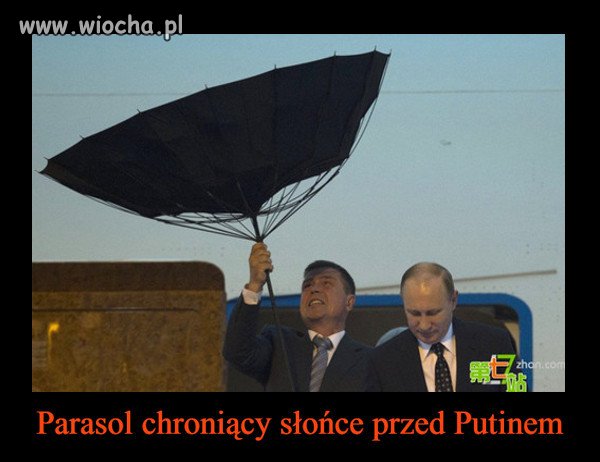 Parasol