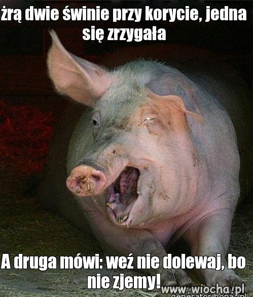 Dowcip o korycie
