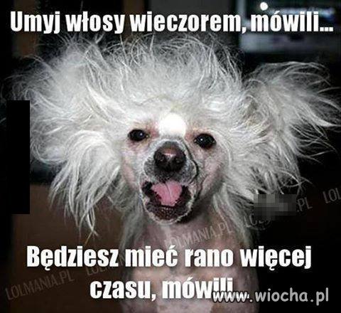 I tak to właśnie wygląda.