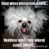 I tak to właśnie wygląda.