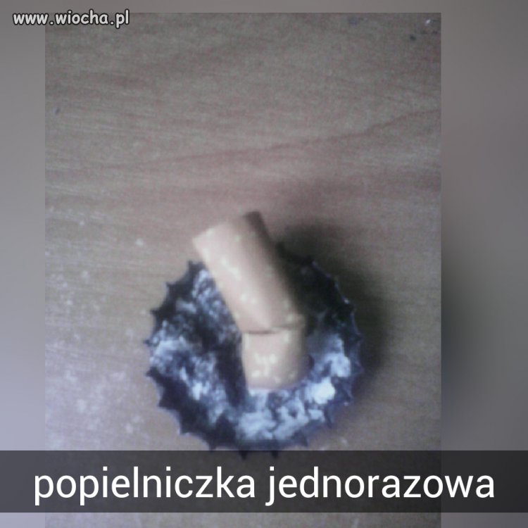 Coś w tym jest