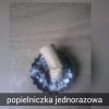 Coś w tym jest