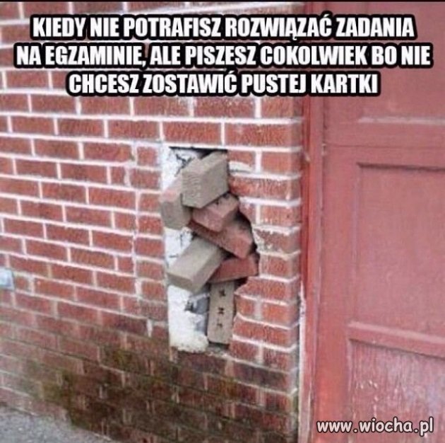 Egzamin