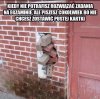 Egzamin