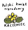 Kaczaniec. 