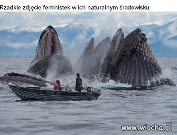 Rzadkie zdjęcie.