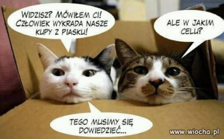 Zagadka..