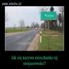 Pytanie