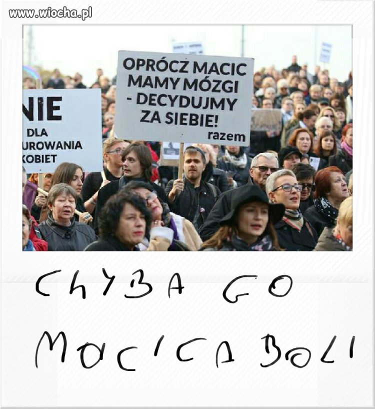 Maciornik