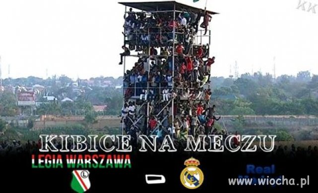 Wynajmę