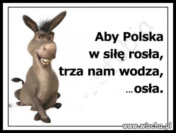 Który bardziej pasuje