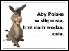 Który bardziej pasuje