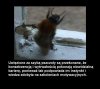 Szkolenia motywacyjne