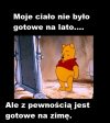 Gotowy na zimę