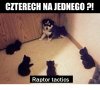 Polowanie ...