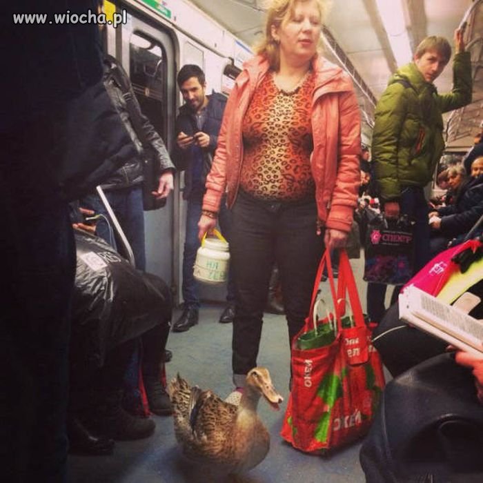 W ruskim metrze