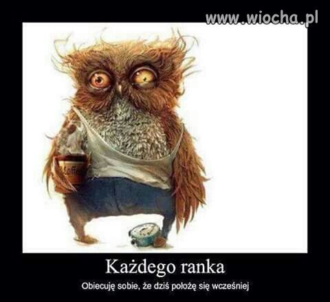 Każdego ranka 