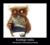Każdego ranka 