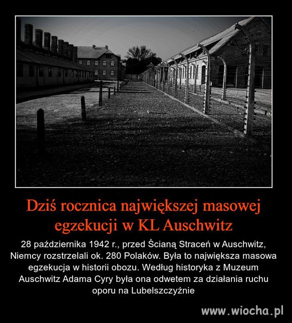 Mija 74 rocznica masowej egzekucji na Polakach