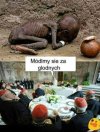 Dla przypomnienia 
