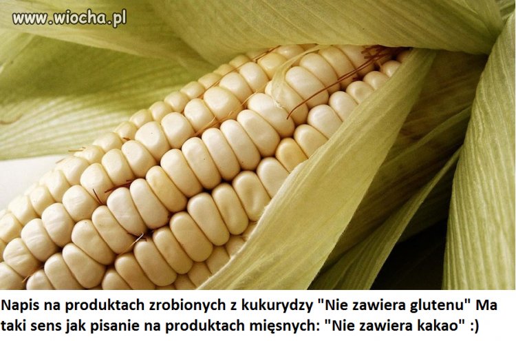Gluten