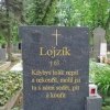 Czeski humor