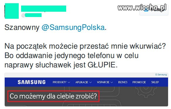 Głupie procedury