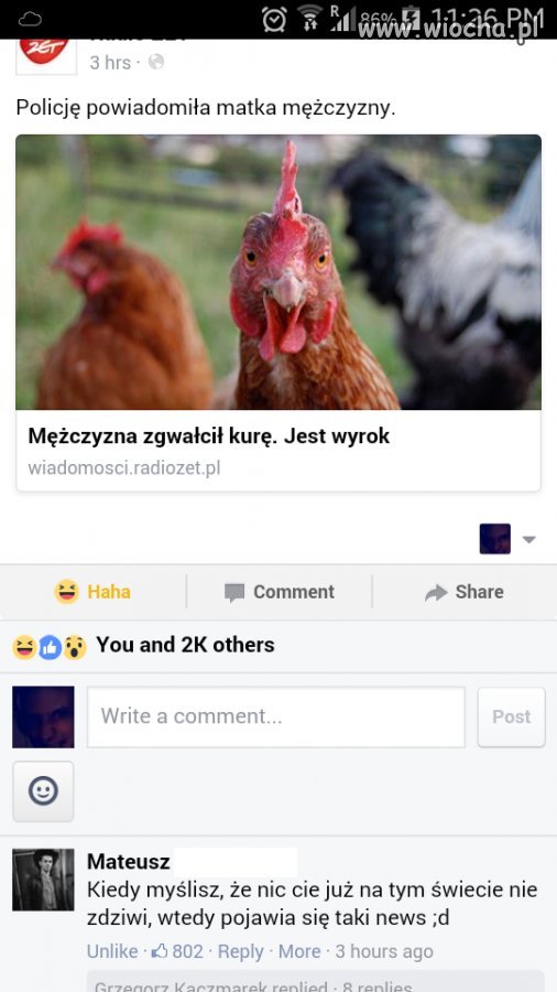 Kiedy myślisz że nic cię już nie zdziwi...