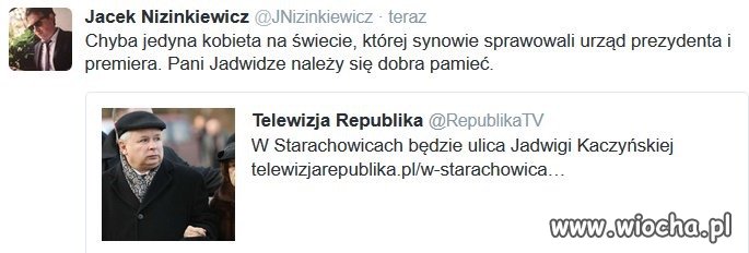 Czekam na ulice kota Alika