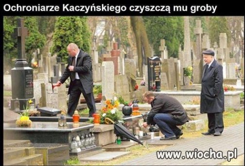 Szczyt lenistwa