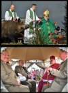 Za te lasy wycięte