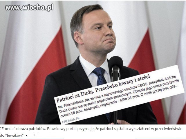 Fronda i po temacie 