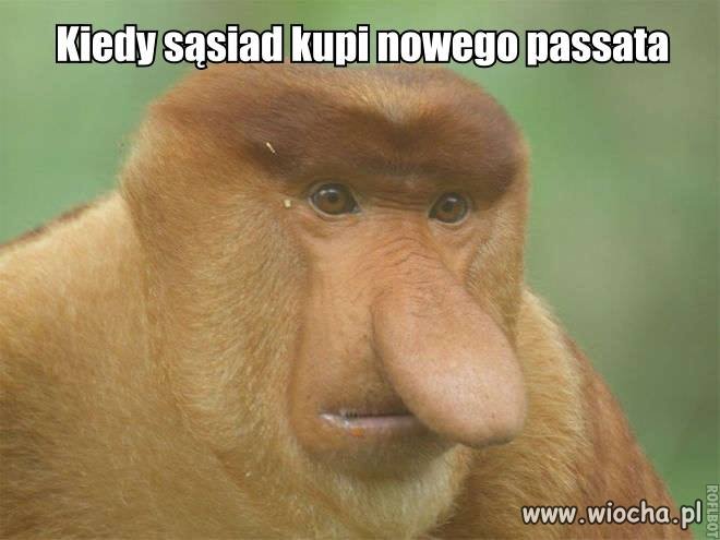 Kiedy sąsiad sobie kupi...