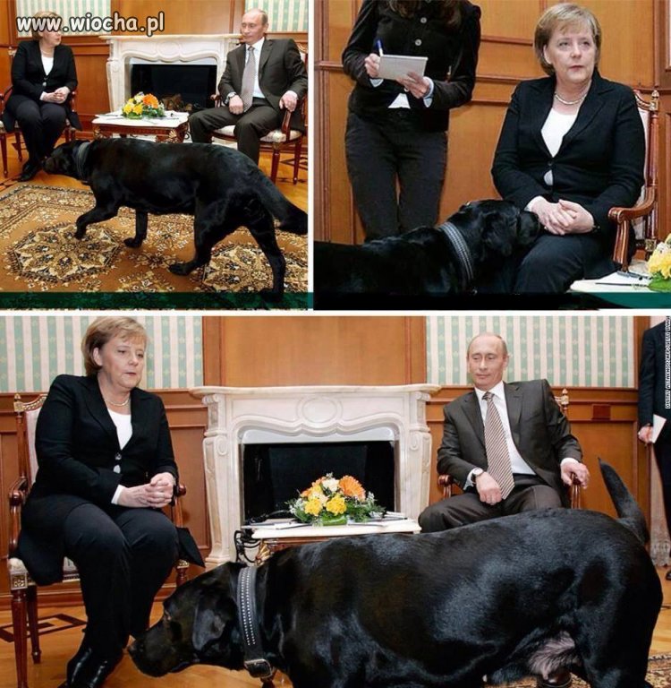 Angela Merkel ma paniczny strach przed psami...