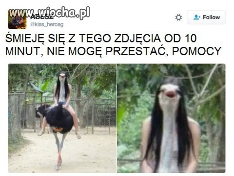 Ciekawe ujęcie