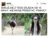 Ciekawe ujęcie