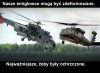 Black Hawk