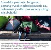Szwecja przebiła w absurdzie samego Bareję...