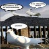 Parapetówka